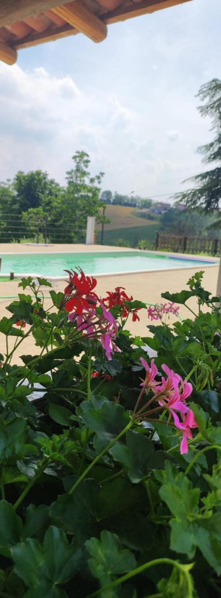 Cascina Pelizza Apartment Casale Monferrato Luaran gambar